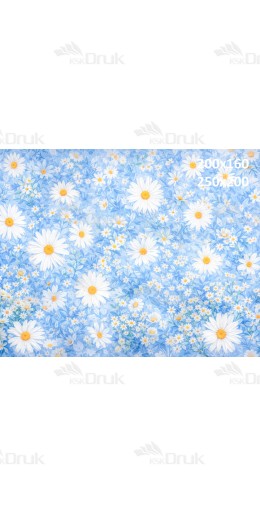 Tło fotograficzne „Błękitna łąka z białymi stokrotkami i jasną podłogą” | 3806